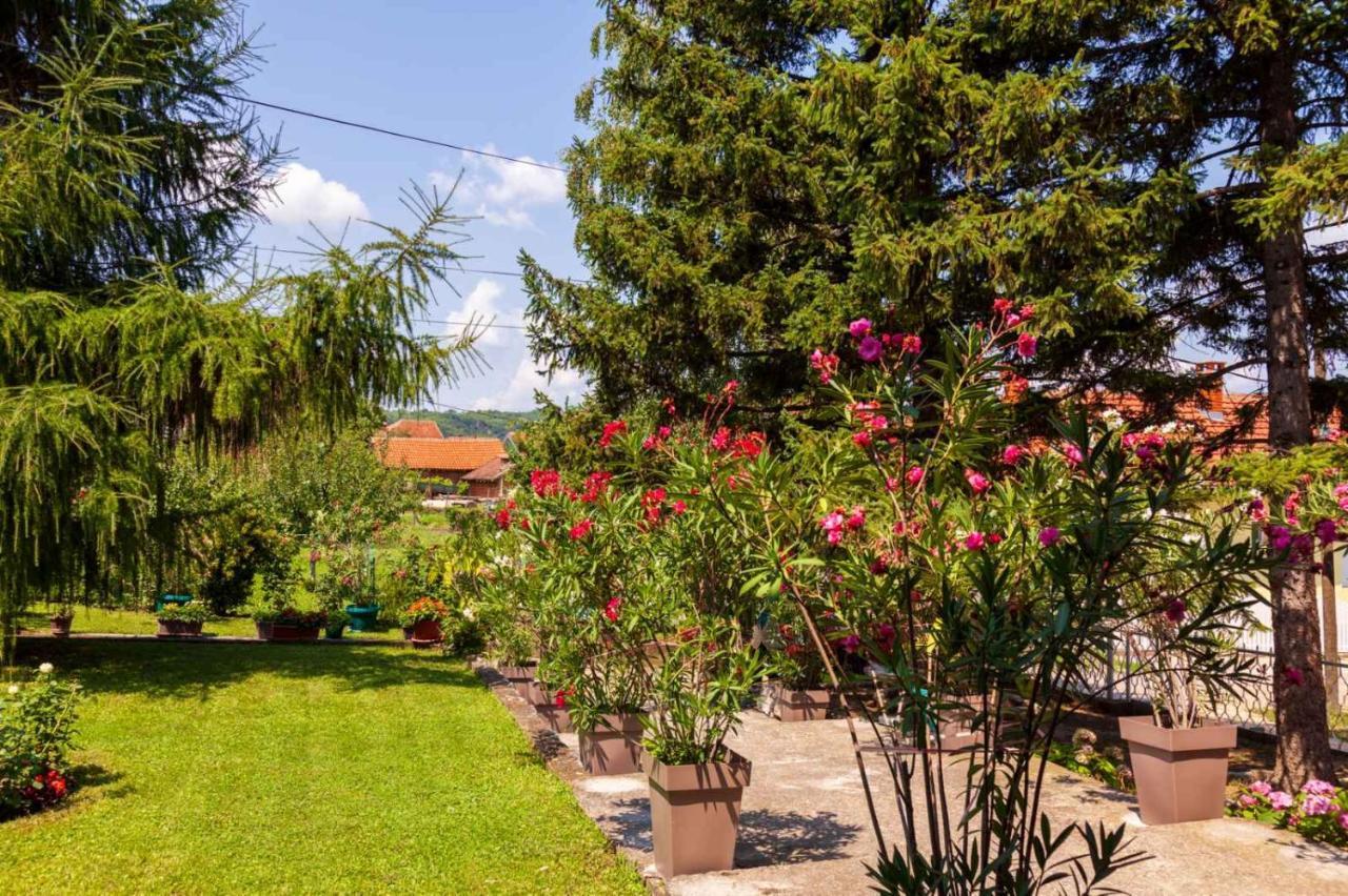 Studio 2 Golubac Ngoại thất bức ảnh