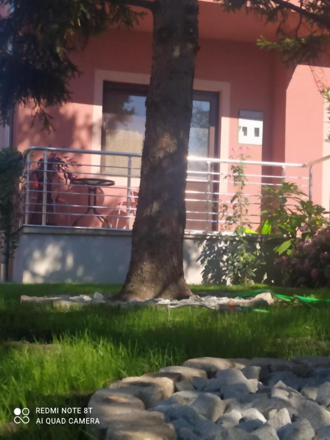Studio 2 Golubac Ngoại thất bức ảnh