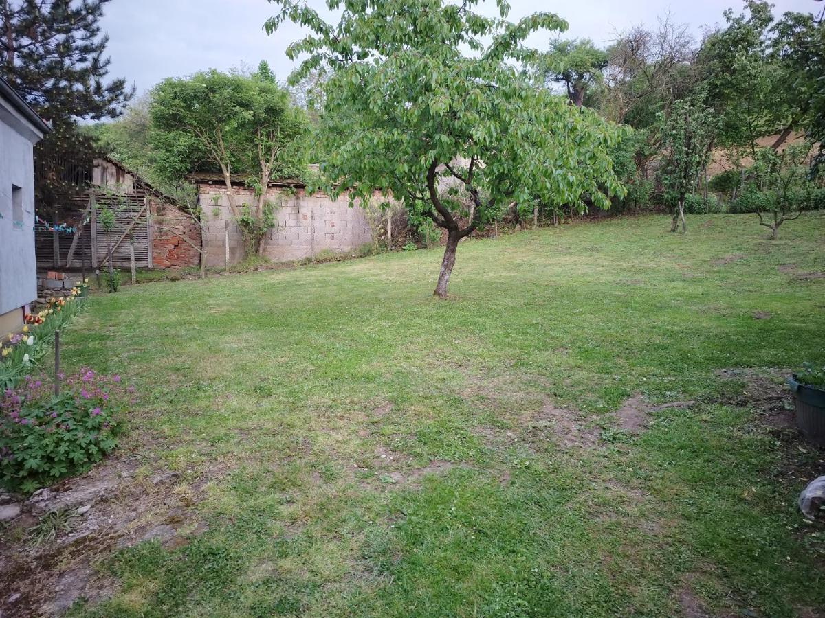 Studio 2 Golubac Ngoại thất bức ảnh